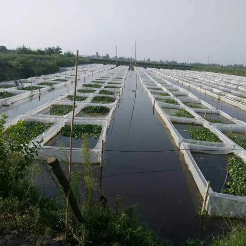 

100 Mesh Thicken PE Aquaculture Net Case Lobster Crab Monopterus Albus Anti-escape Breeding Net Customization Size Available