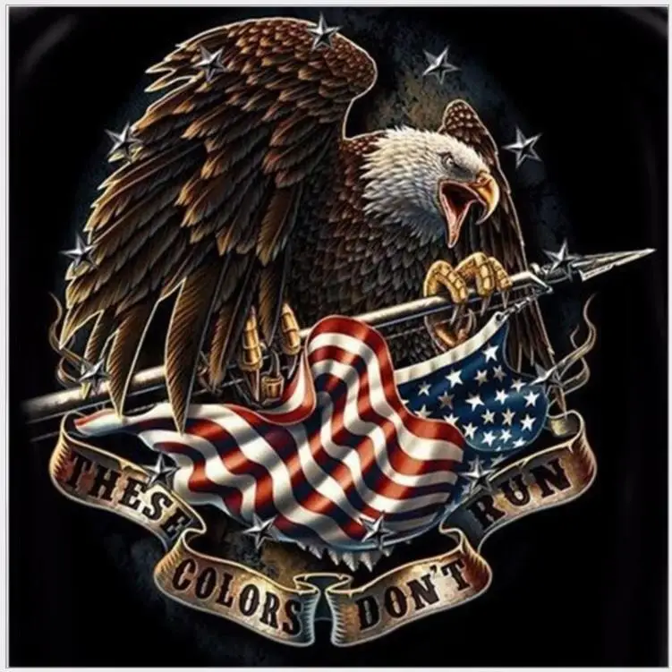 eagle diamond painting full square animal wall art decor american flag