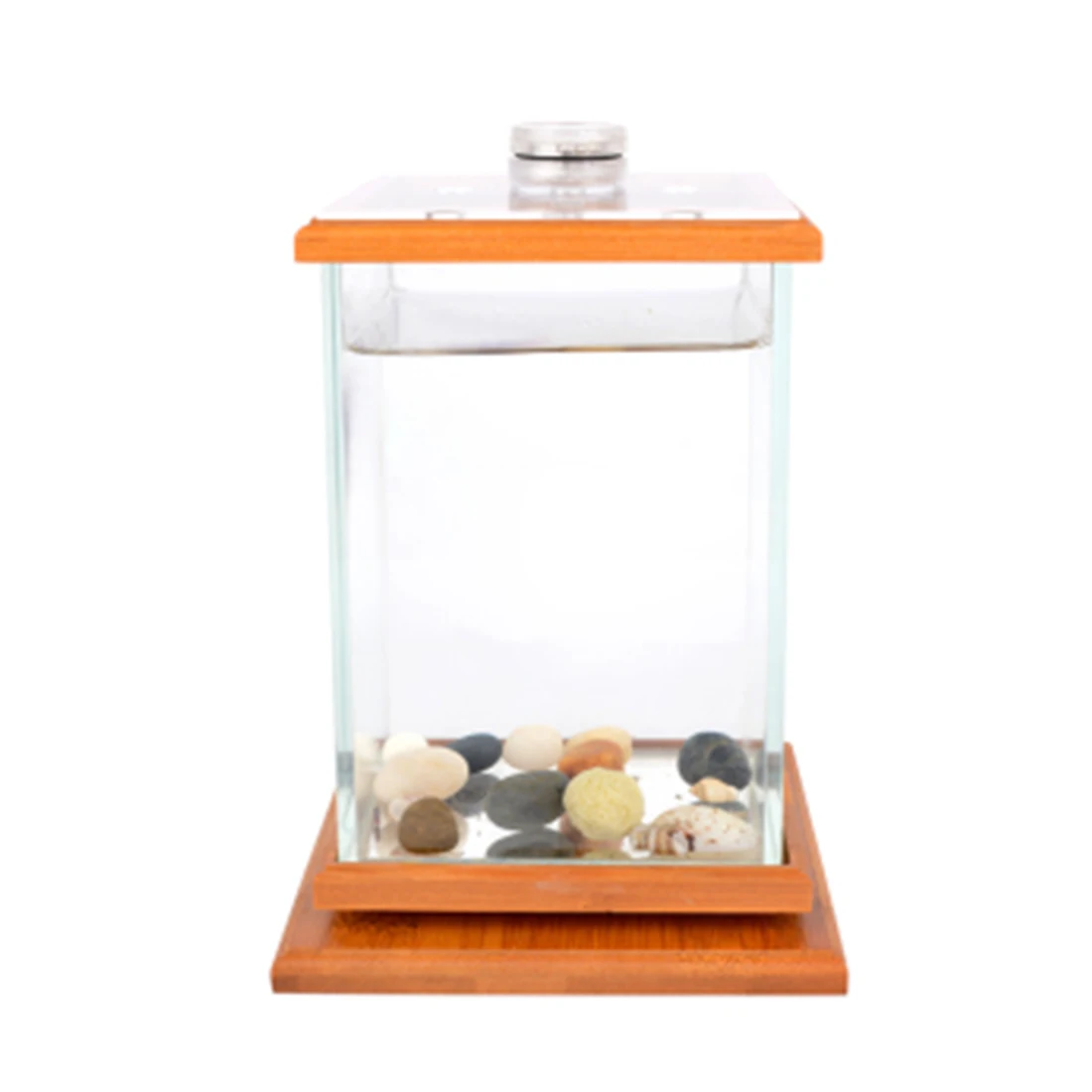 Buy 1pcs Super White Fish Tank Aquarium with LED for