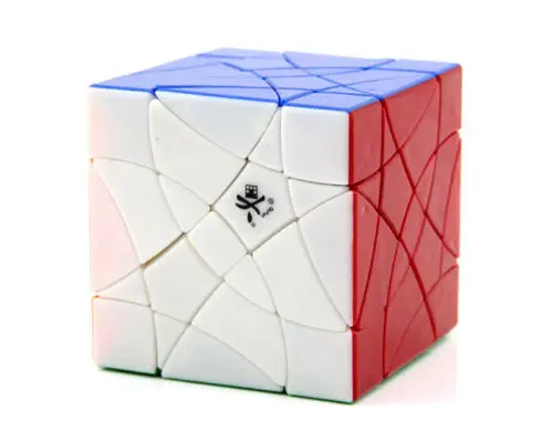 

DaYan Double Swallow Master Magic Cube Twist Puzzle Shuang Fei Yan Professional Multi-Color Twist Puzzle Educational Intelligenc