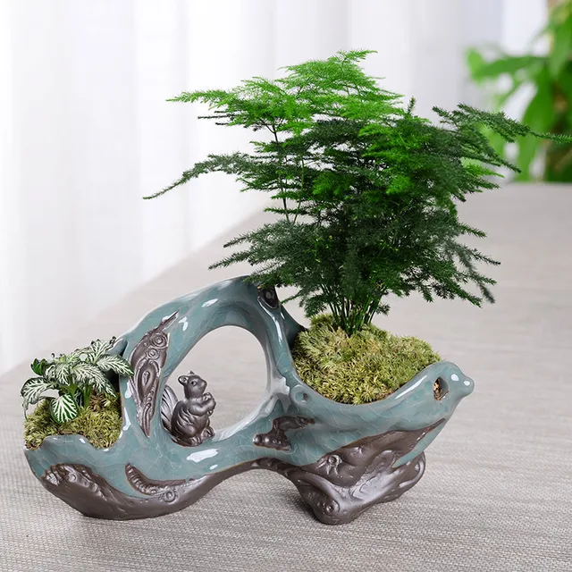 Buy Creative Zen Style Plant Bonsai Plants Pots for