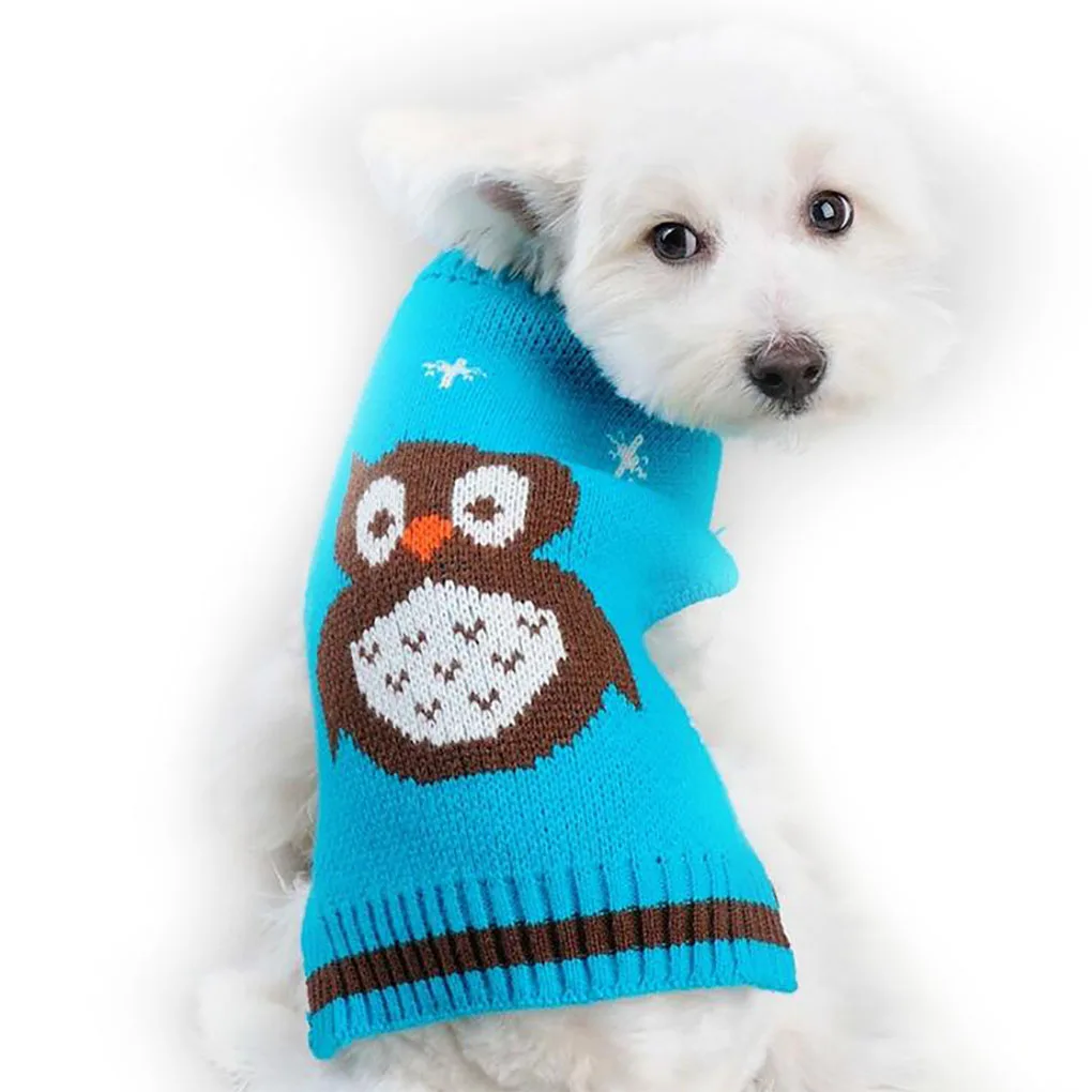 вязаная одежда для собачек. вязаная одежда для собак. вязаный свитер для собаки. свитер для маленькой собачки. вязаный свитер для собаки.