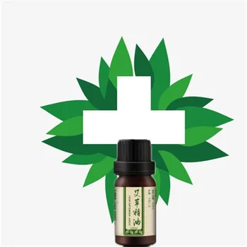 

10ml Lady's Secret Argy wormwood Oil for Sensitive Zone / Argy wormwood Essential Oils Pure Nature Cosmetics