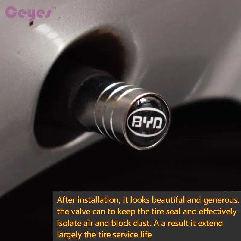 BYD (3)