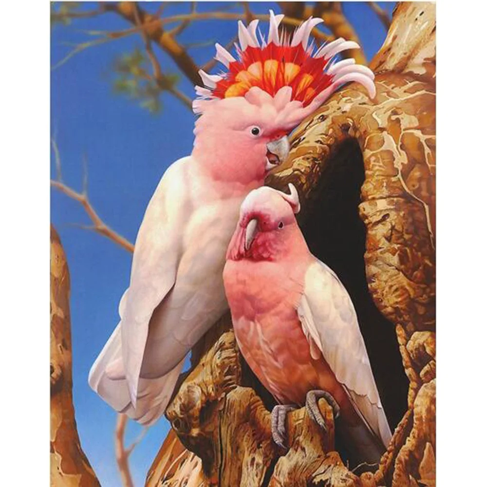 

New Full Squarer/Round 5d diamond embroidery diy animal cross stitch embroidery sets resin diamond painting parrot mural ZX990