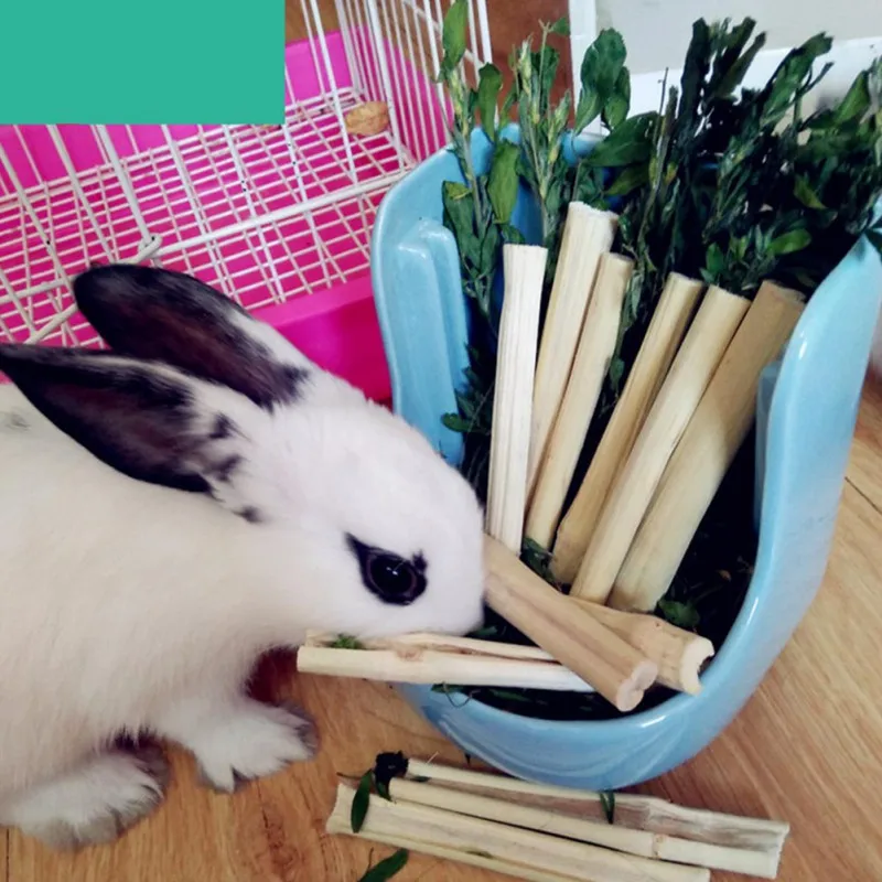 

Хомяки для домашних животных, 5 шт., снэки, милая бамбуковая жевательная игрушка для белки, кроликов, морских свинок, Шиншилла, хомяк