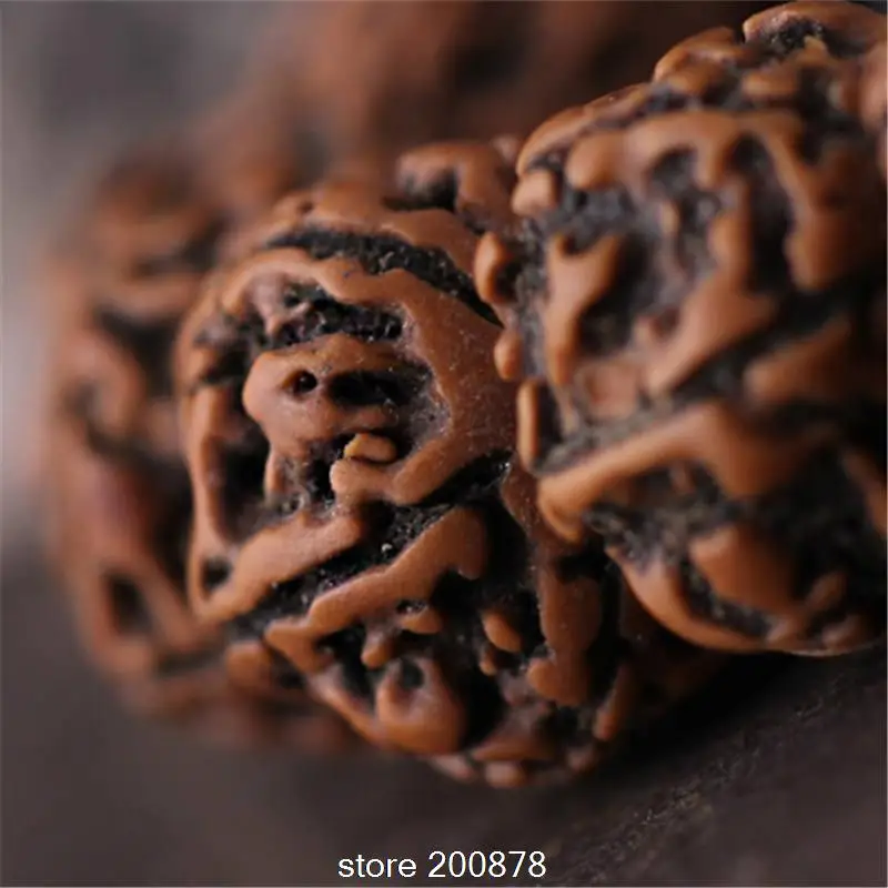 

TSB0017 Tibetan Old Oiled Rudraksha Bodhi Seeds Loose Beads Nepal Kingkong Bodhi Oblate beads 10beads lot