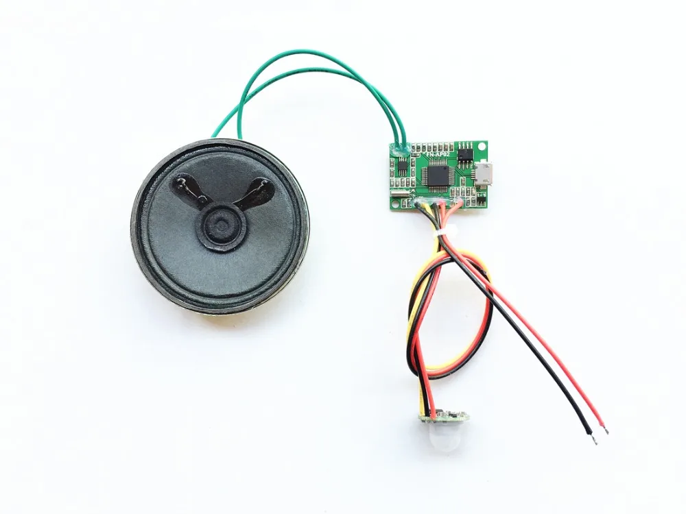 

Separate Talking PIR Sensor for Point of Sale PIR Motion Sensor Activated Sound Player Module for POS