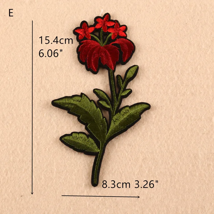 6_