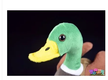 eeeee