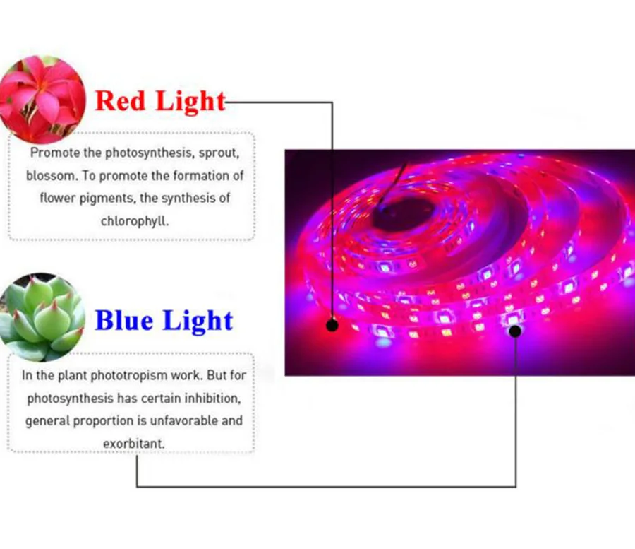 Светодио дный завод растут 1 м 2 м 3 м 4 м 5 м SMD 5050 DC12V гибкие светодио дный расти полосы света для парниковых гидропоники завод овощной
