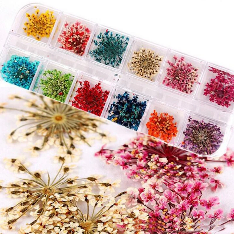 12 Colors Real Nail Dried Flower Nail Art Stickers Tips Decoration With
