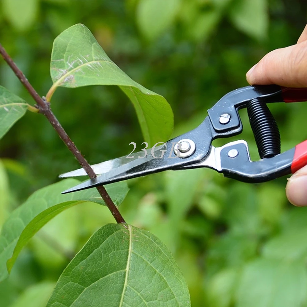 секатор палисад. ножницы для обрезки деревьев. прививочный секатор fiskars. ножницы для кустов. ножницы для обрезки деревьев.