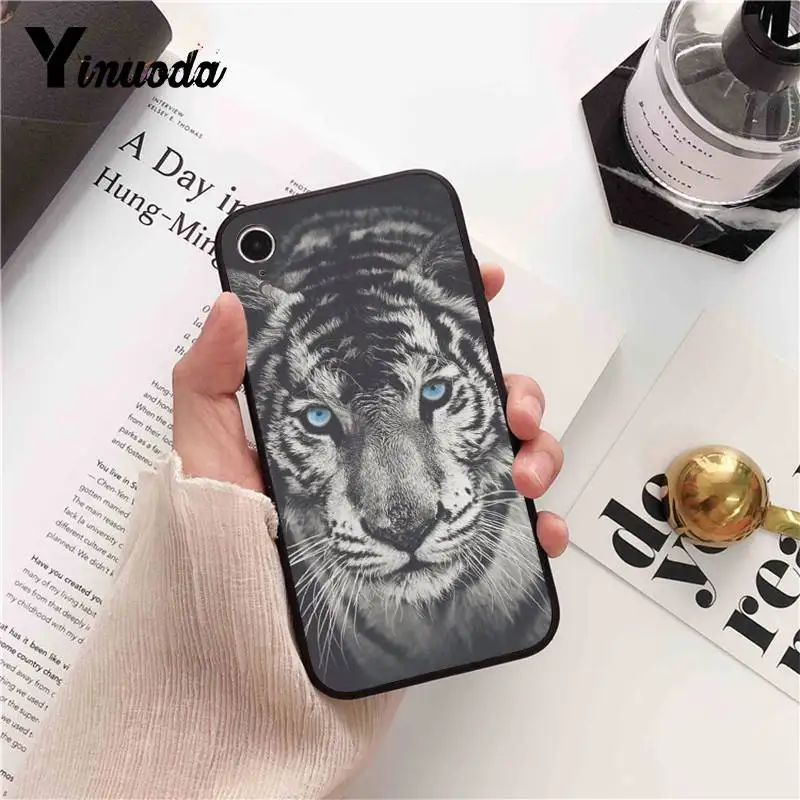 Cool Tiger Owl Cat Cartoon