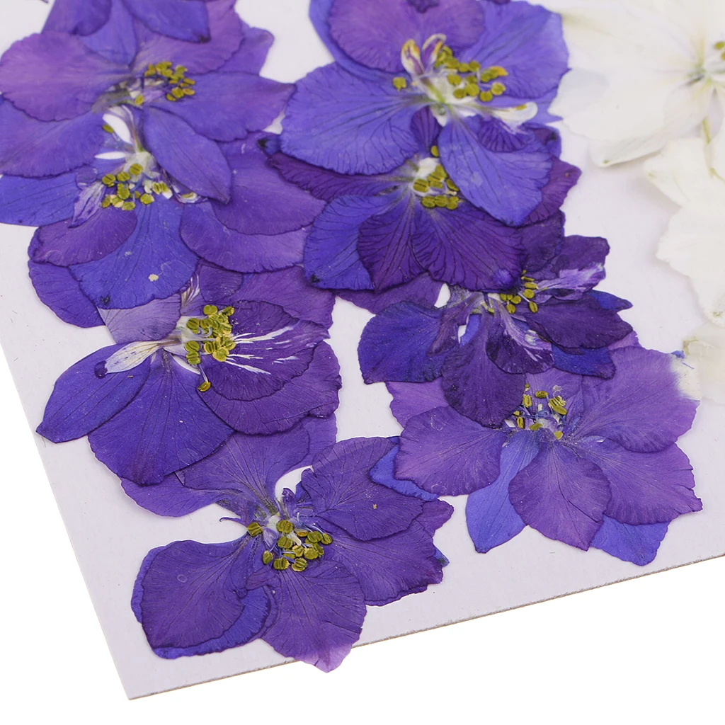 20 Pieces Pressed Flowers Real Delphinium Dried Flowers for Jewelry Making Crafts Candle Making DIY Resin Ornament Artificial