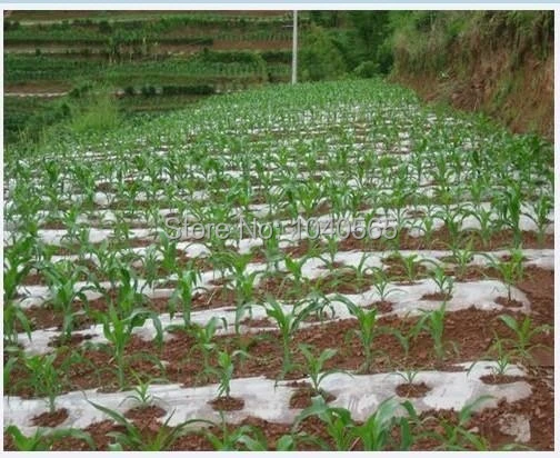 Agriculture Fabric Nursery Film Non Woven Mulch Ground Cover Agriculture Fabric Nursery Film Non Woven Mulch Ground Cover Landscape Greenhouse Curtain