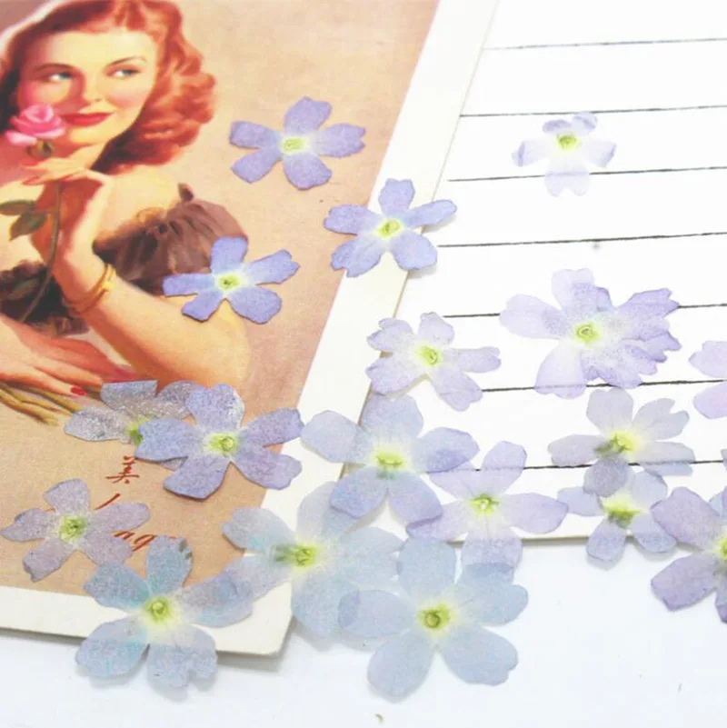 120pcs Pressed Dried Natural Verbena Hybrida Voss Flower Plants Herbarium For Jewelry Postcard Phone Case Invitation Card DIY | Дом и сад