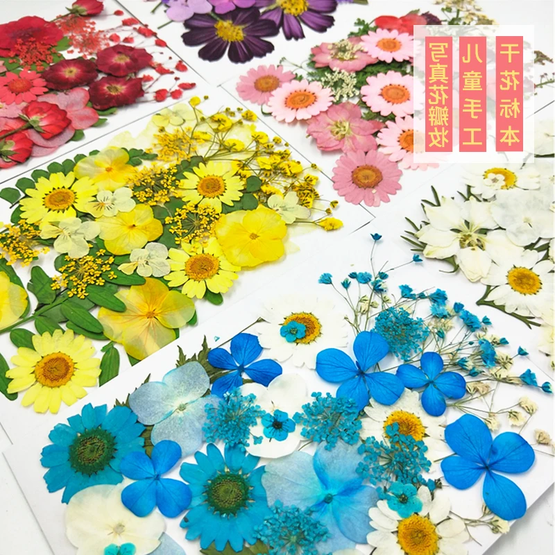 PipiFren flores prensadas pequeñas flores secas Scrapbooking seco bricolaje conservado flor decoración hogar Mini floreros secas