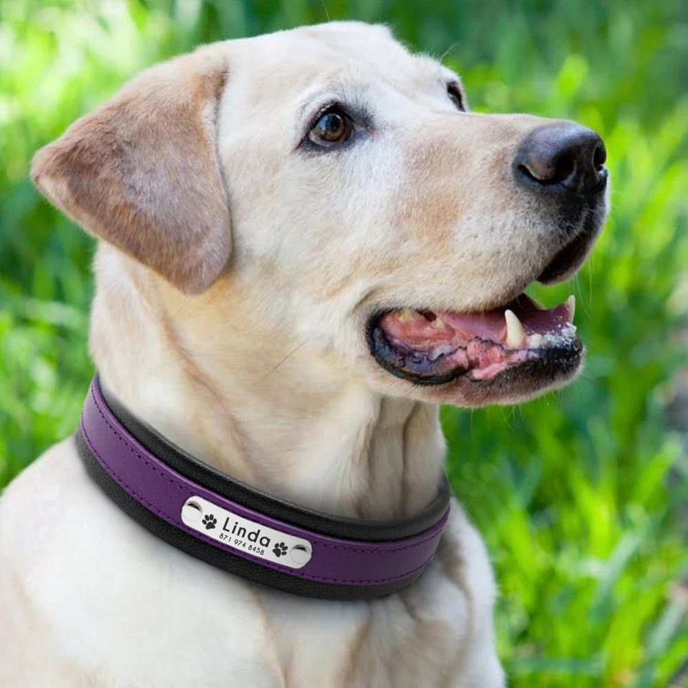 Индивидуальный ошейник для собаки кожаный воротник для средних и больших товары собак выгравированы заказ табличка Pet ID тегов воротники Pitbull Бульдог