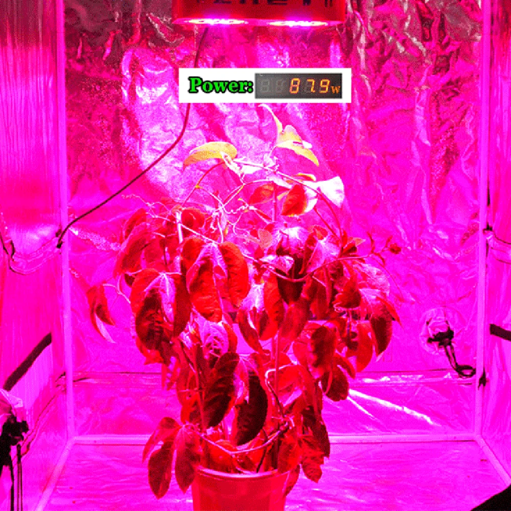 Светодиодный светильник для выращивания растений 500 Вт HPS эквивалент профессионального правильного освещения полный спектр Специальный дизайн для систем внутреннего роста