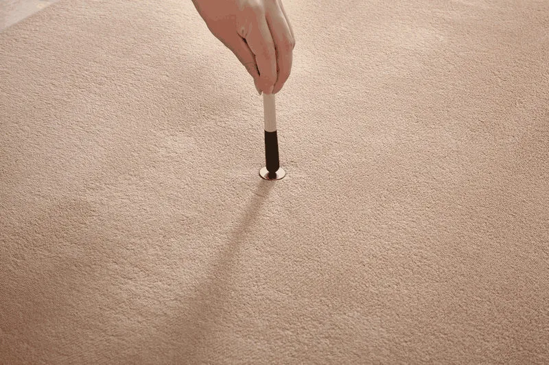 4203132934_481848152_