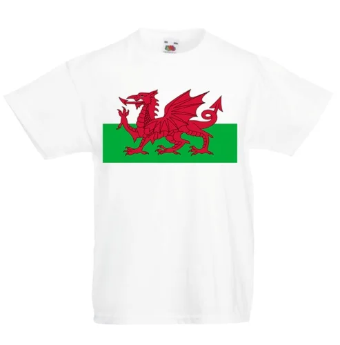 Мужская футболка с надписью wales хлопковая короткими рукавами и изображением