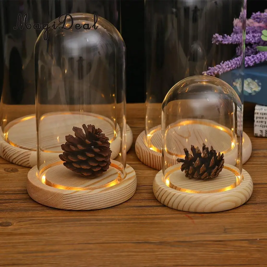 Preise MagiDeal Klar Glas Display Dome mit LED Holz Basis Microlandscape Halter