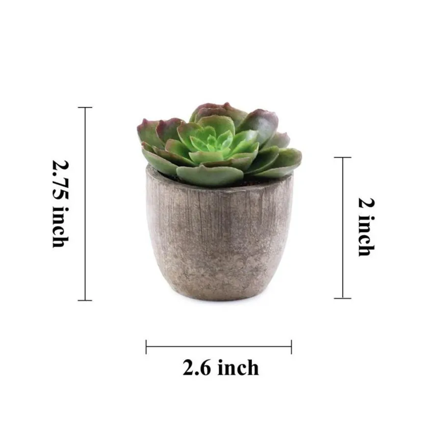 mtxx6