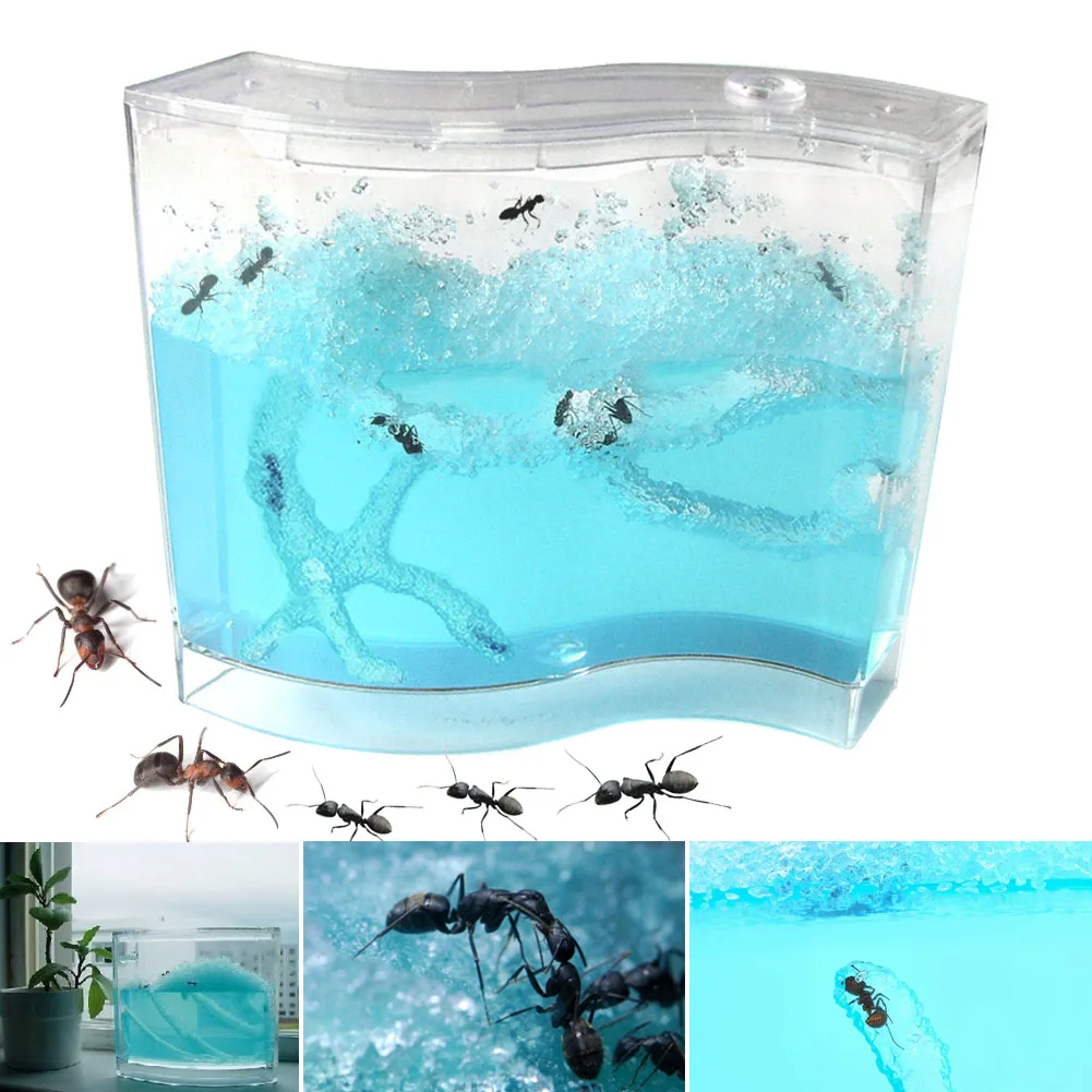 

New Blue Gel Ant Farm AntWorks Ant Home AntWorkshop Educational Toy 88 S7JN
