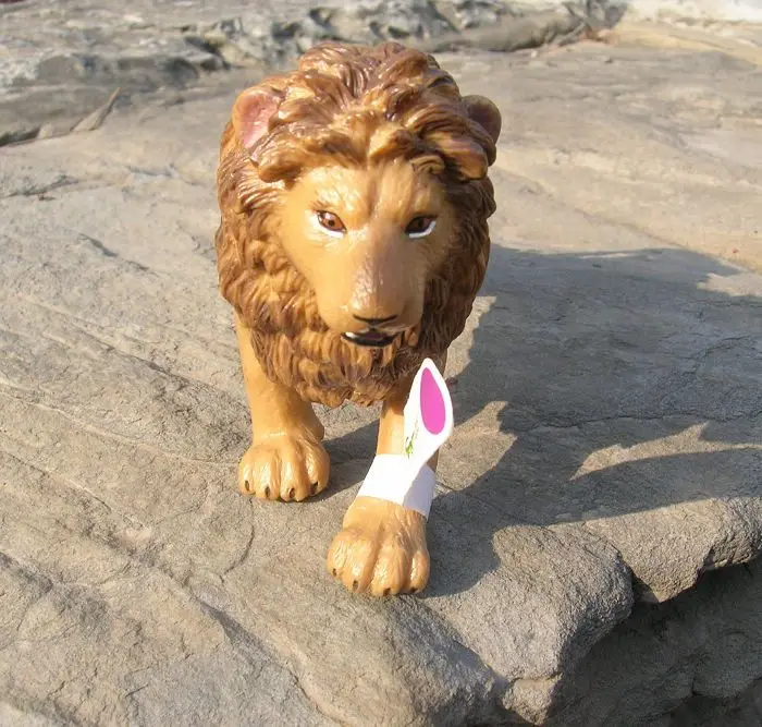 Qizhe genuine American Safari animal model simulation Angola lion print aids Toys | Игрушки и хобби