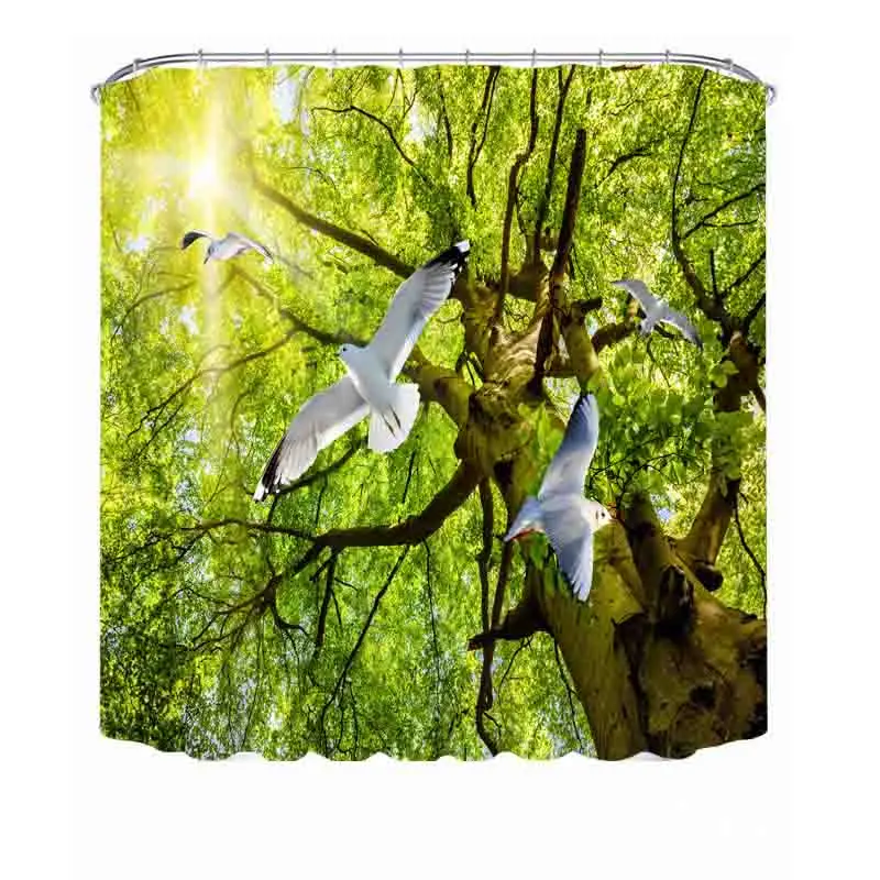 3963699952_565562340