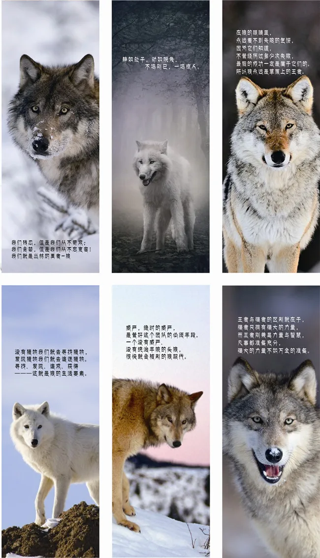 Wolf Totem (9)