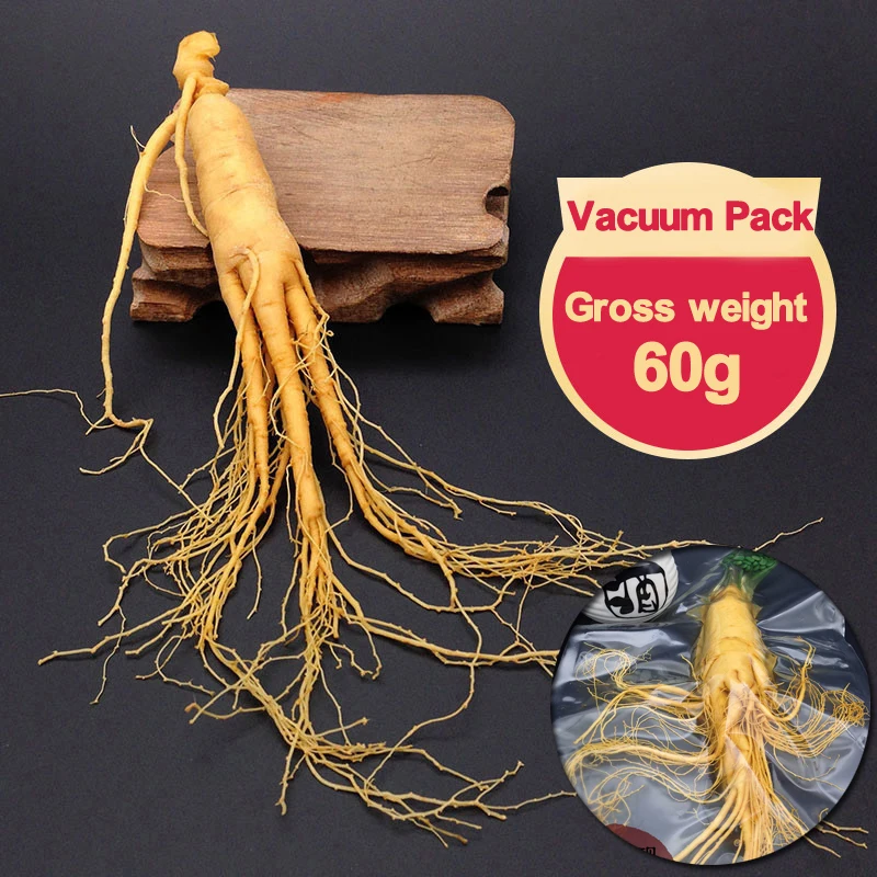 

Top Grade Vacuum Pack Big Panax Fresh Ginseng Root 60g 5 Years Old Body Relaxation