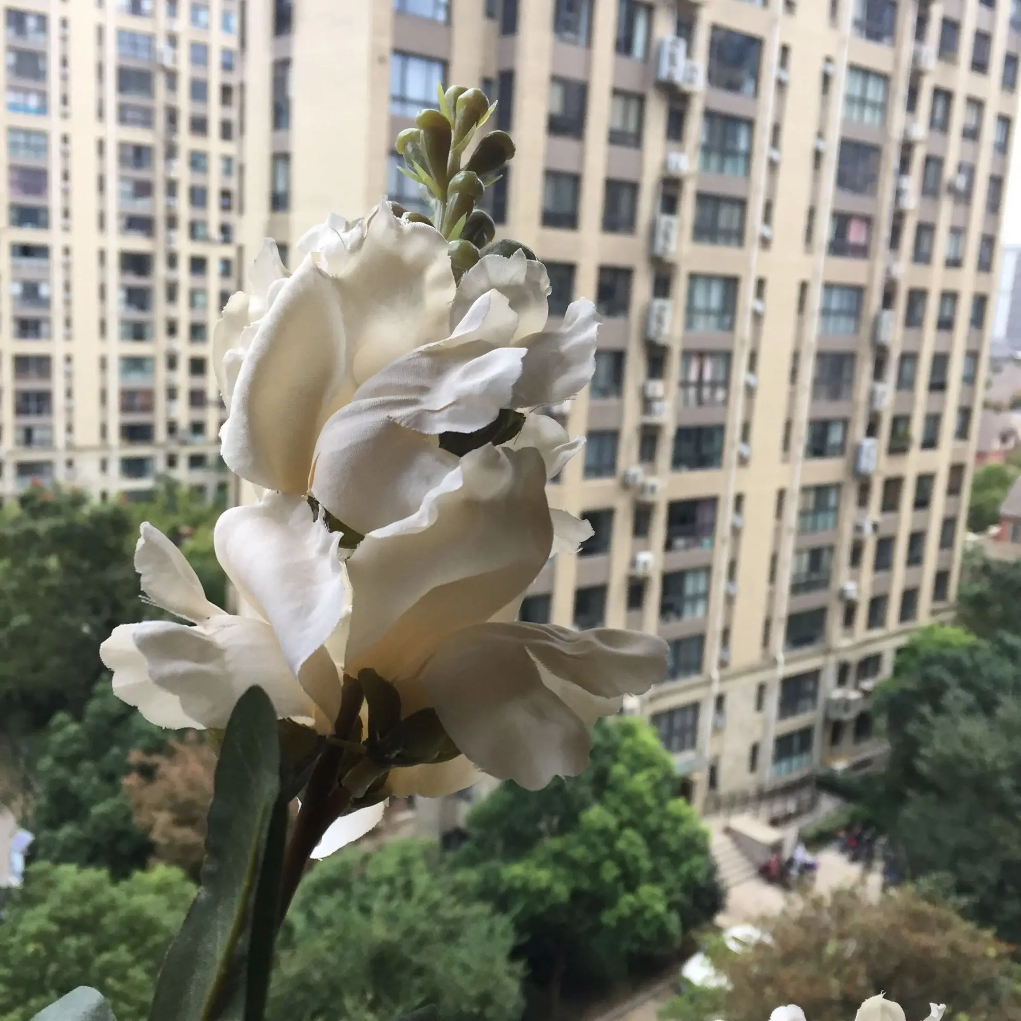2018-10-25 04:371