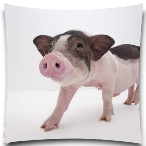 Animals pig Square 45*45 cm creative pillow case office Wedding bedding couch Vintage home decorative 5 size 9 style | Дом и сад