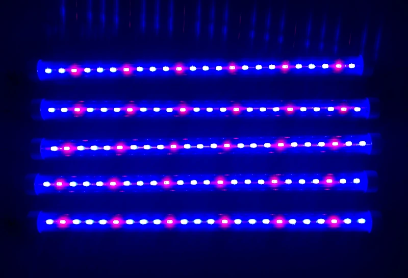 ReBlue Lamp For Plants Grow Light 12W 24W T5 Plant Lamp Full Spectrum Grow Led For Plants Growing Seedling Phyto-Lamp indoor  (8)