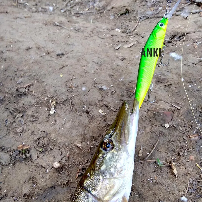 fish4