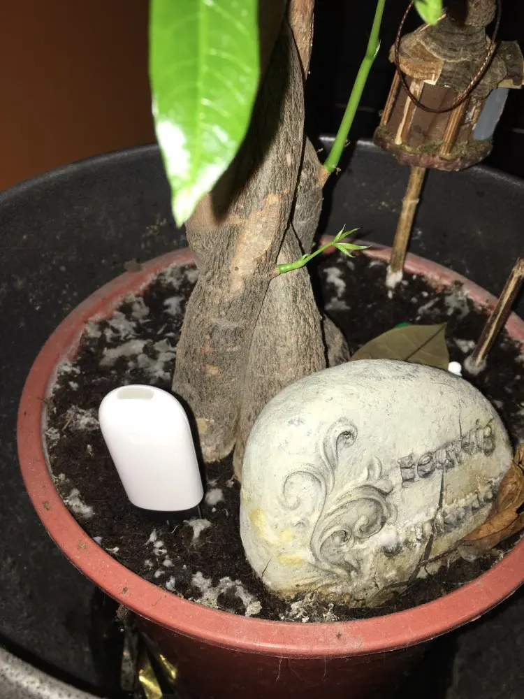 UT8iwAPXIVXXXagOFbXc