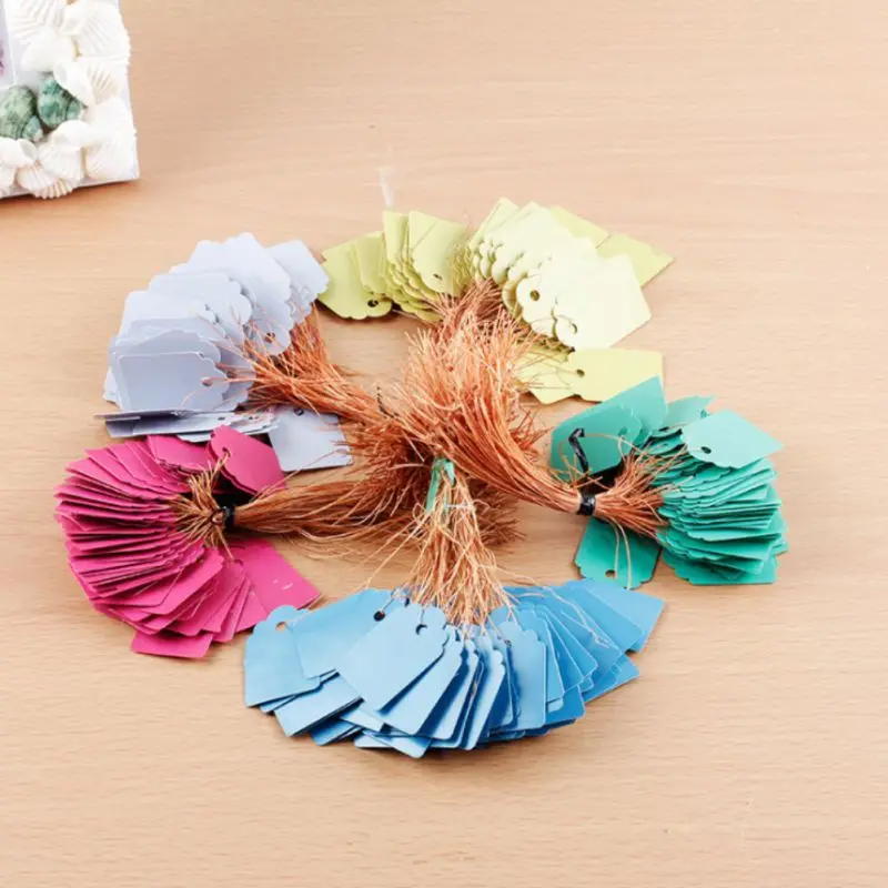 

100Pcs Plastic Plant with Markers Rope Tree Garden Tags Signs Hanging Labels