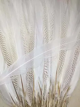 

50pcs 55-60cm wholesale silver Pheasant Feathers Natural white pheasant tail Feather decorative Feathers Plumes for Carnival