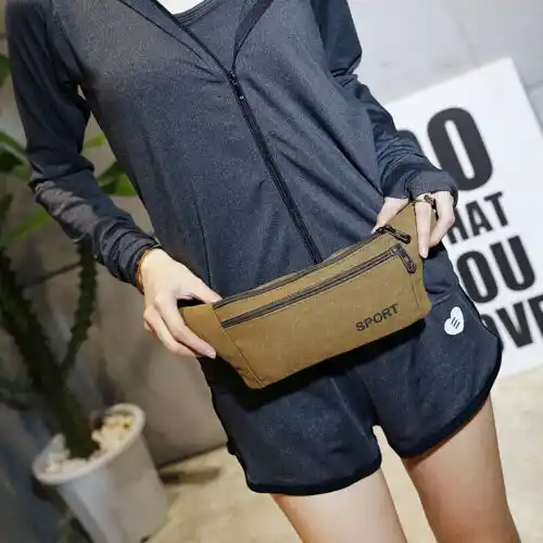 purse waist and hip belt