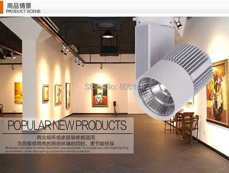 Holofotes de Luz Loja de Roupas Igual a 300w Alta Qualidade Lote 30w Cob Luz Pista Levou Ferroviário Lâmpada Halógena Ac85-265v Sapatos 10 Pçs - 10 Iluminação do percurso
