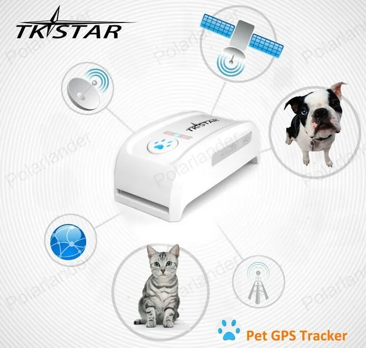 Автомобильный gps GSM/GPR трекер локатор водонепроницаемая система слежения в реальном времени для местоположения домашних животных