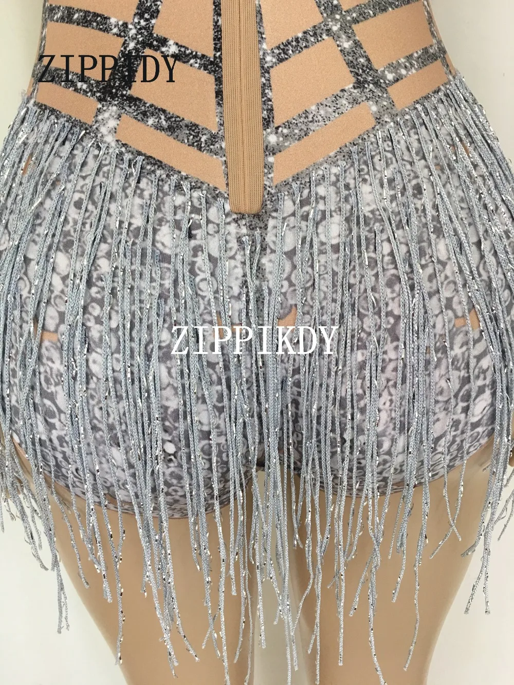 Sparkly Rhinestones Silver Tassel Bodysuit Sleeveless Big Stretch Women's Party Prom Bar Outfit Stage Female Singer Show 
