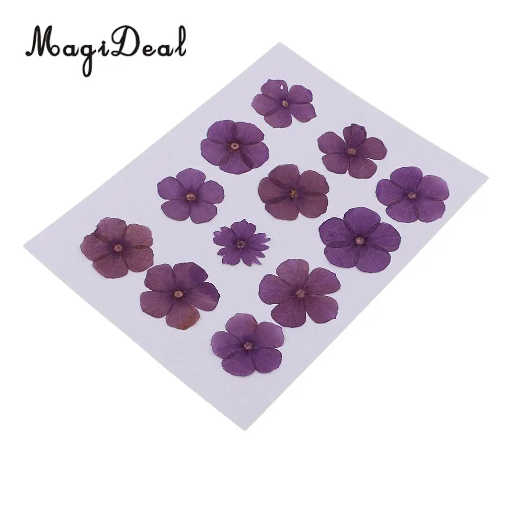 12 Pieces Natural Dried Flowers Real Flower Amaranthus for Kids Craft Card Making DIY Pendants Charms Jewelry