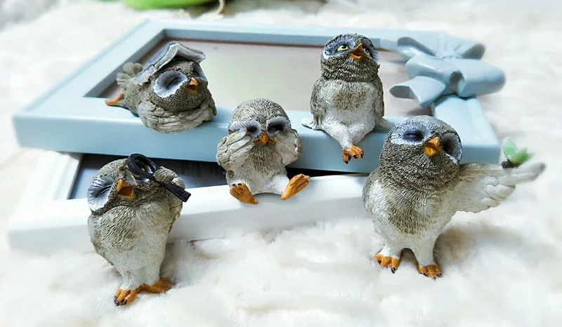 

Original farm animals 5 cute kawaii birds cartoon happy Owl shy playing book models garden plant microlandscape desktop Gifts