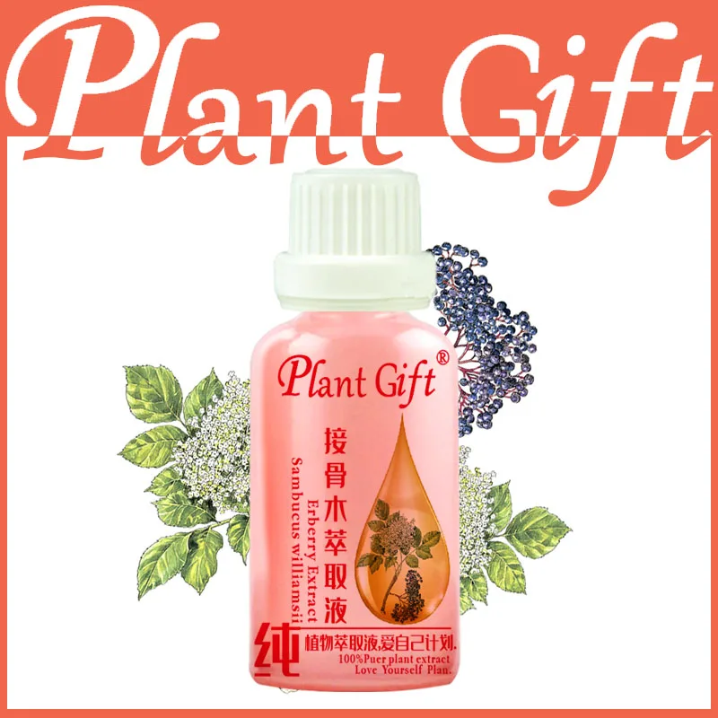 接骨木提取液plant gift模板