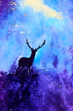 501