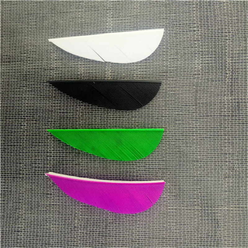P80419-185028