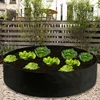 15-100 Gallons Fabric Grow Bags Breathable Felt Fabric Pots Planter Root Container Plant with Handle Garden Supplies Nursery Pot ► Photo 3/6